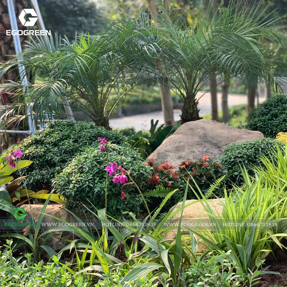 Từng gốc cây được chọn phù hợp với phong cách Modern Tropical – Á Đông.